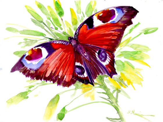 Butterfly