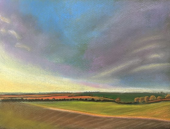 Evening Light Over Fields and Trees. Sunset - Landscape