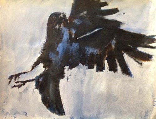 Twisting blackbird by Odette Farrell