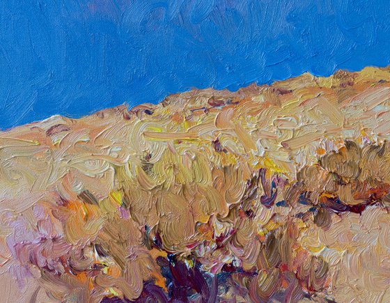 Desert