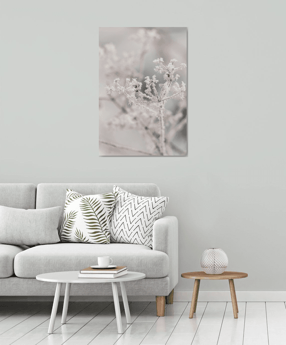Winter fragility - Limited Edition of 20
