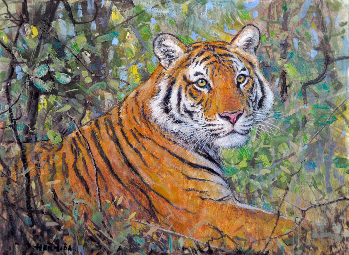 Bengal tiger by Gabriel Hermida