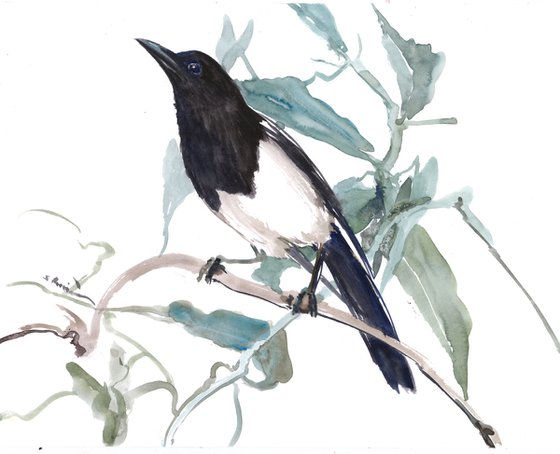 Magpie