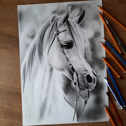 Arabian horse by Josip Barać