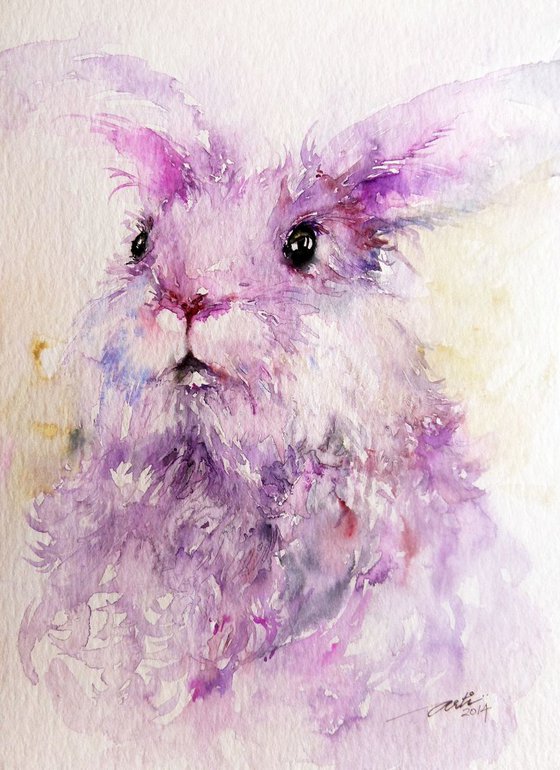 Angie the Angora Rabbit