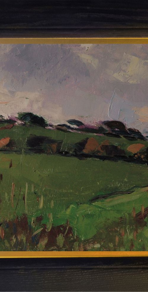 Farmland near Burpham by Andre Pallat