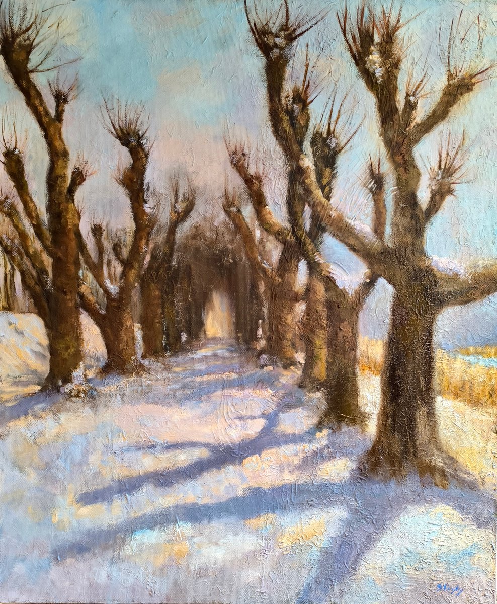 Linden Alley. Winter by Svetlana Grishkovec-Kiisky