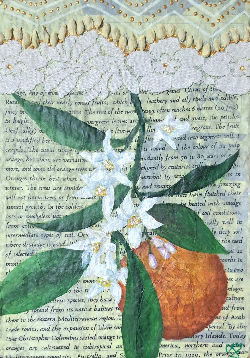 Botanical Painting By Andromachi Giannopoulou, 8 X 12, Orange Blossoms, Original Artwork