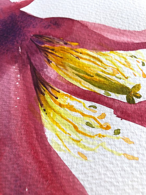 Light. Floral shades. A series of abstract original watercolours.