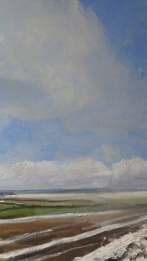 Snow, Jan 8 by Malcolm Ludvigsen