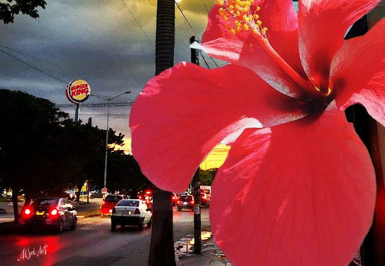 Sunset in Merida