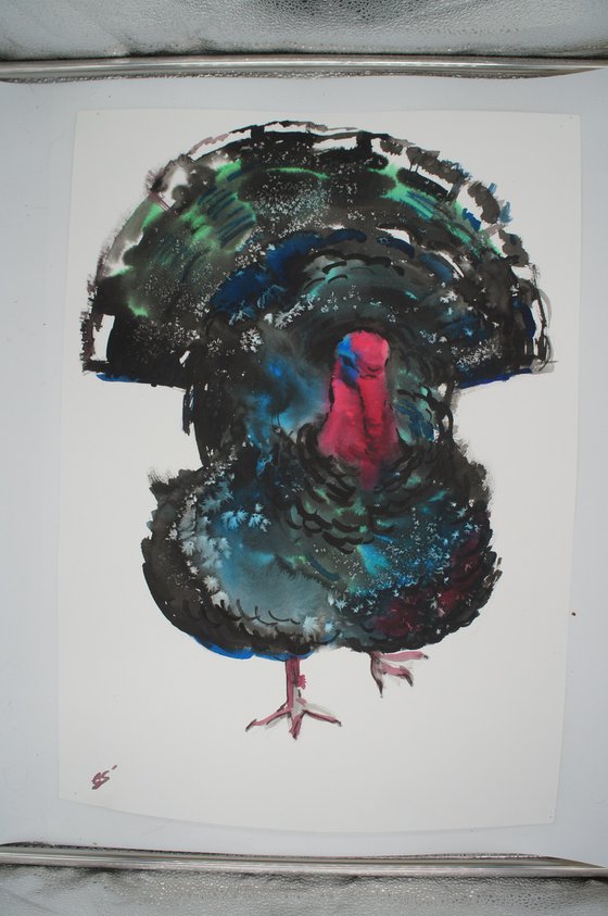 The turkey