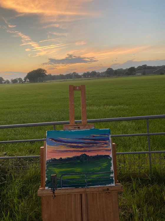 Sunset at meadow. Plein air