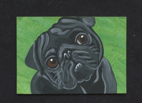 ACEO ATC Original Miniature Painting Black Pug Pet Dog Art-Carla Smale