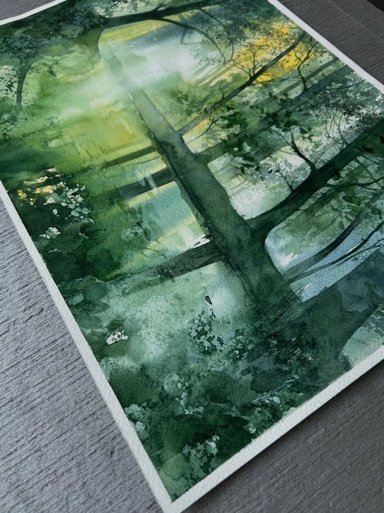Bright summer morning