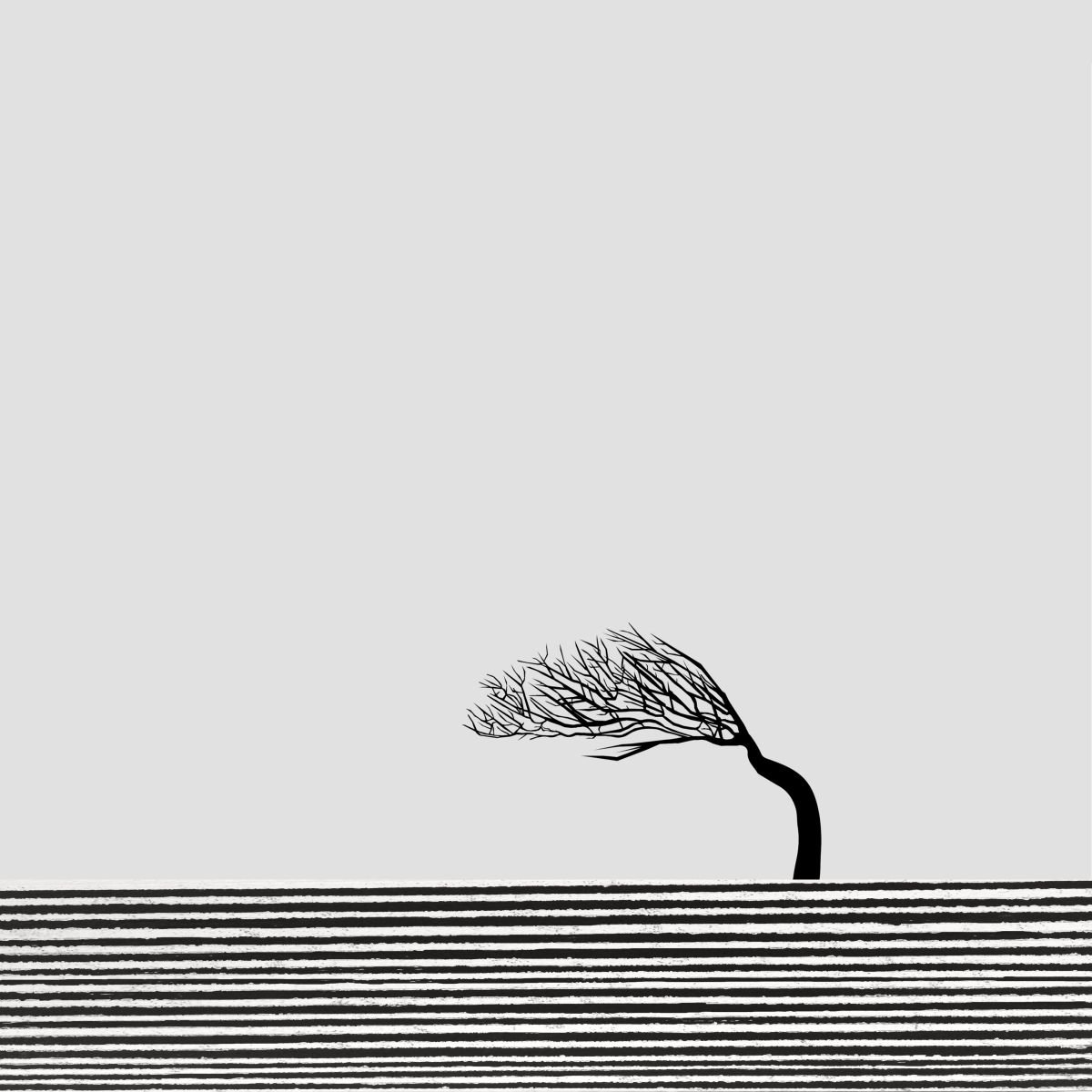 Bent Tree (square) by Rennie Pilgrem