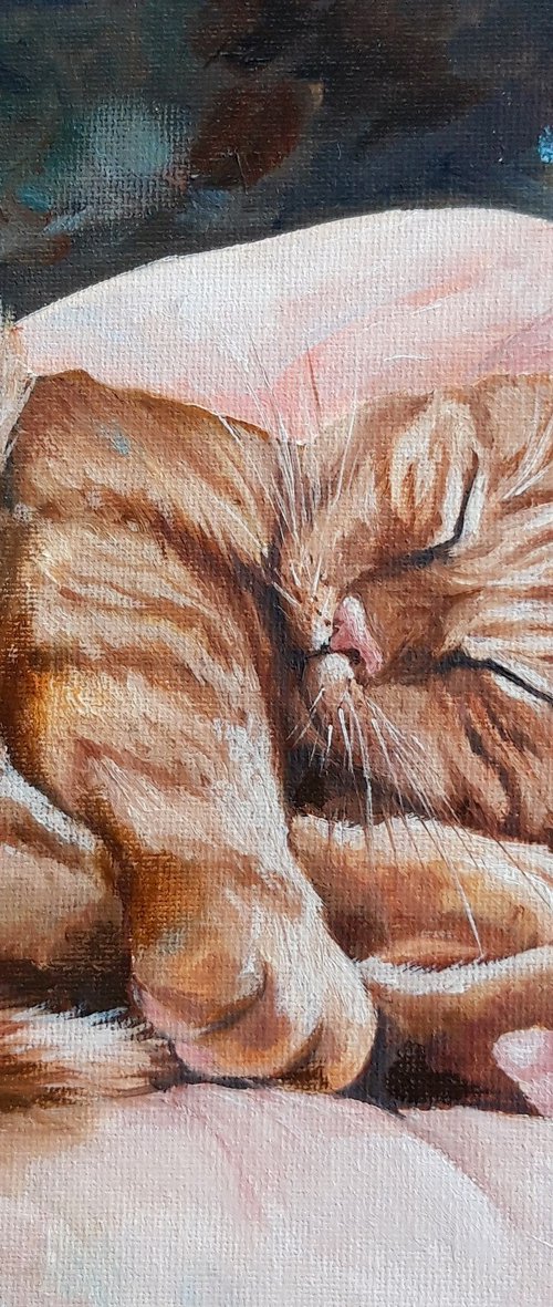 Sleeping Red Cat Animals by Natalia Langenberg