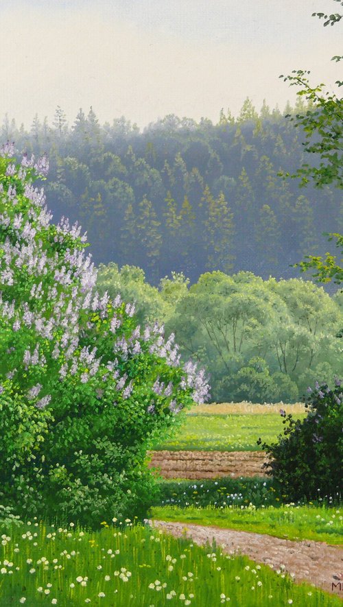 Blooming spring meadow by Mlynarcik Emil