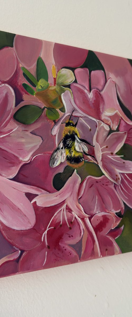 Bee on pink flower by Bethany Taylor
