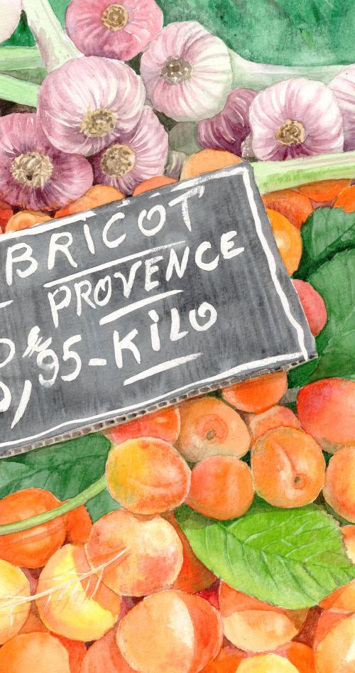 Apricots in an Open Air Market by Olga Beliaeva Watercolour