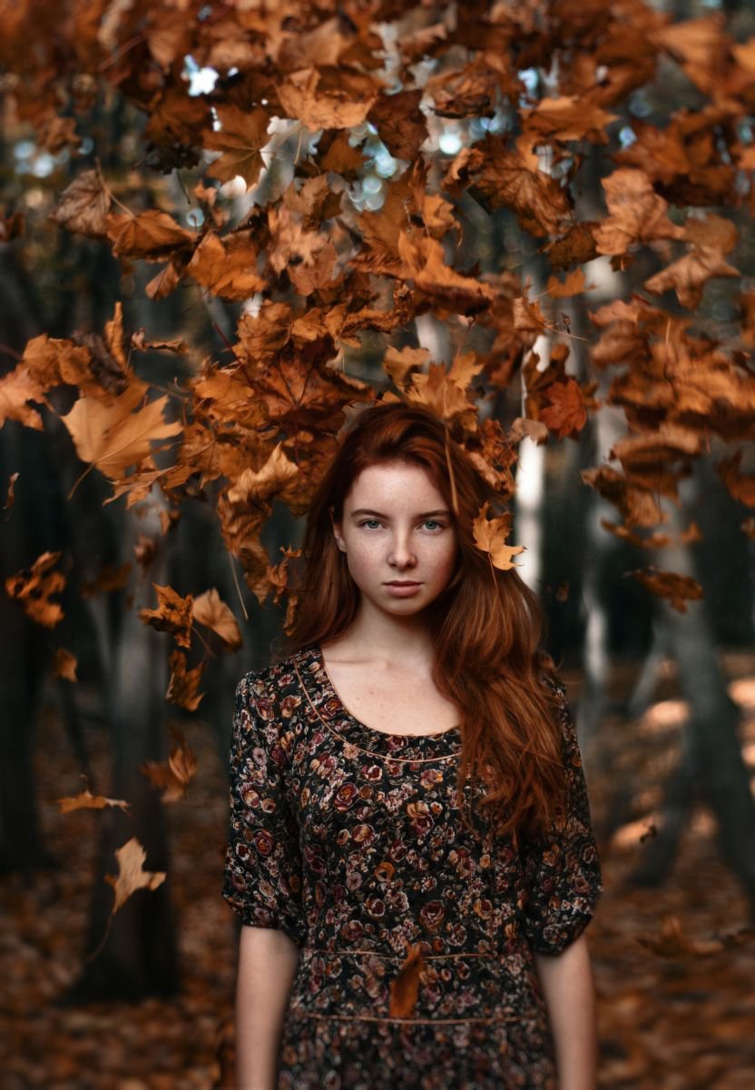 Hello, autumn! n.2 Limited Edition 1 of 10 by Inna Mosina
