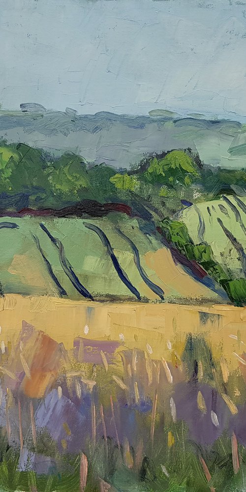 The Downs near Angmering by Andre Pallat