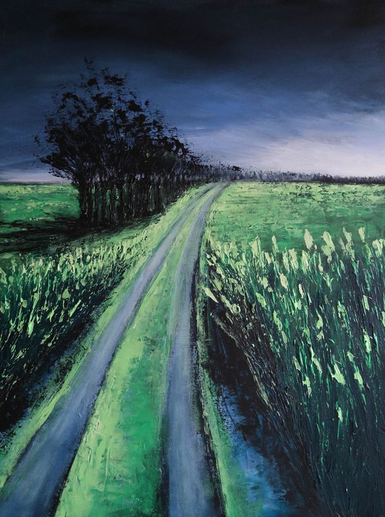 The Road after the Storm - Fields and Colors Series