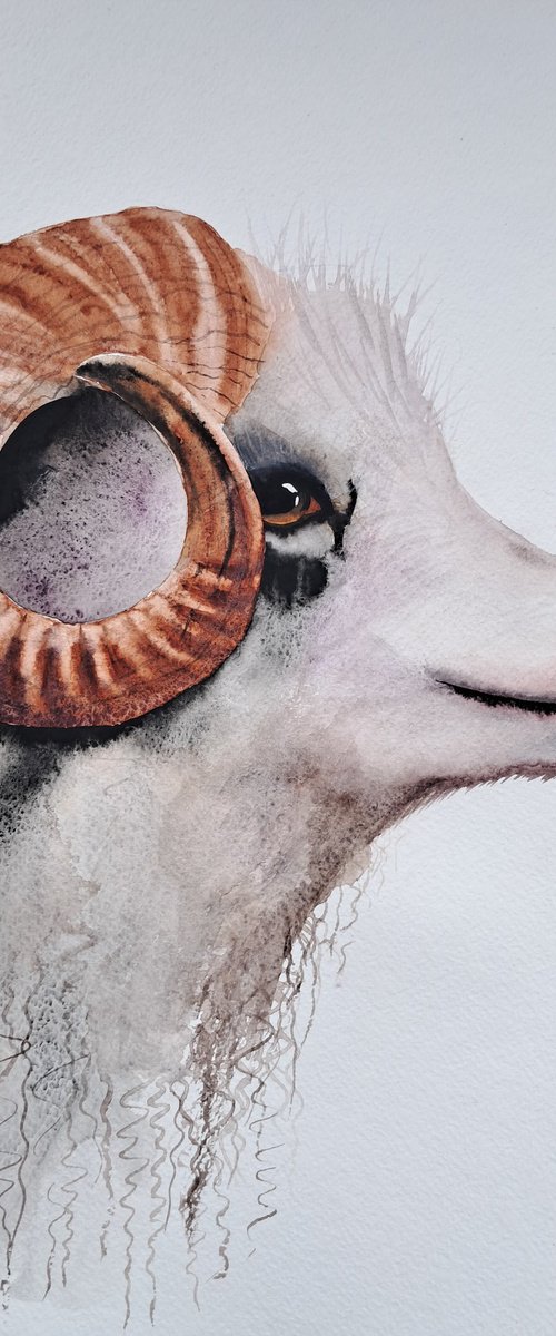 Sheep. Ram. Pecora. Ariete. Aries by Yuliia Sharapova