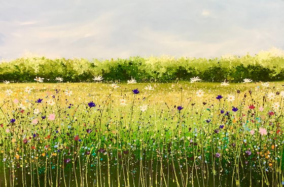 Summer Daisies