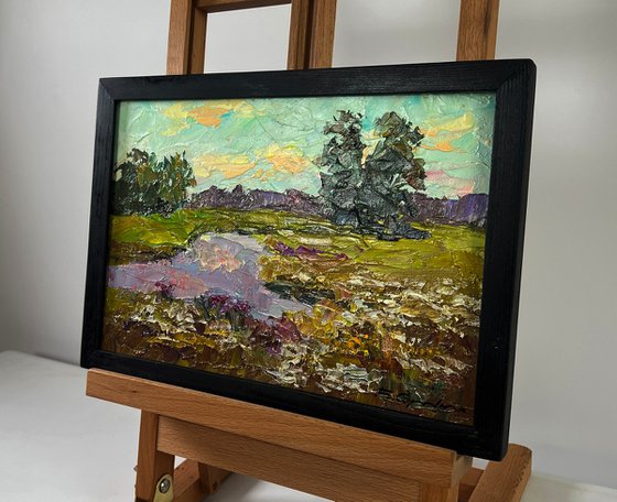 Sunny Days and Boundless Joy of Nature