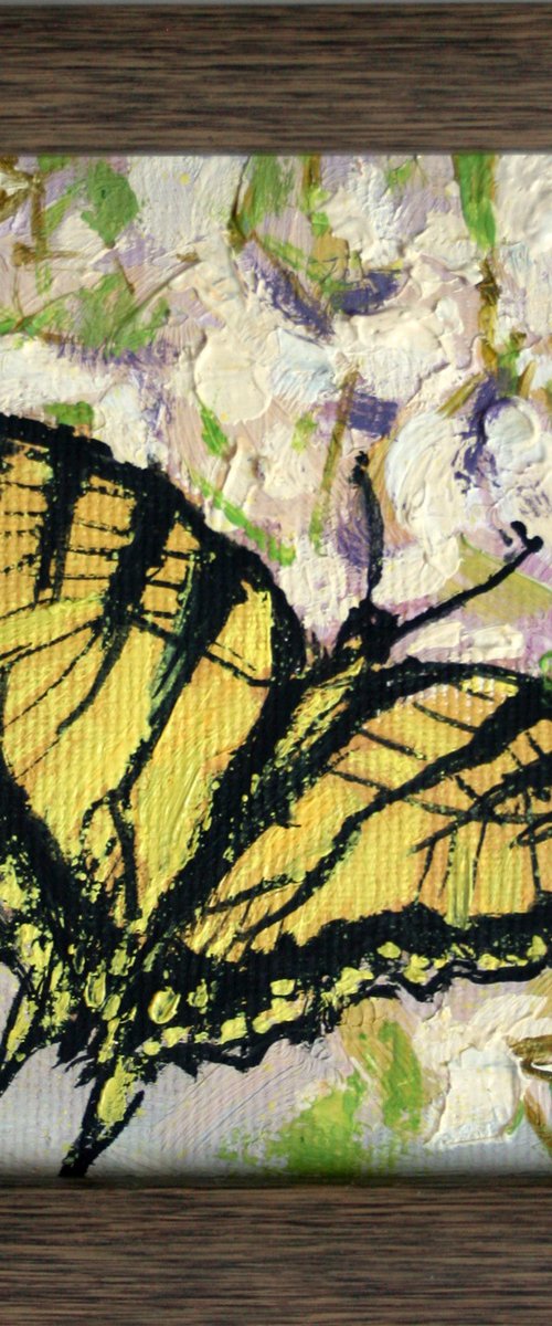 Butterfly... framed / FROM MY A SERIES OF MINI WORKS / ORIGINAL OIL PAINTING by Salana Art Gallery