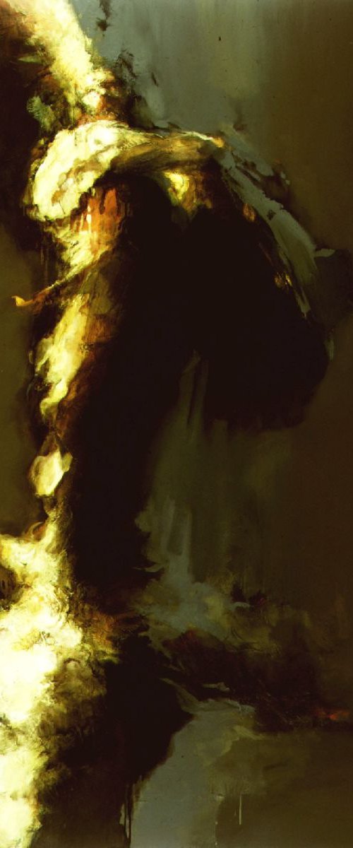 Flamenca by Zil Hoque
