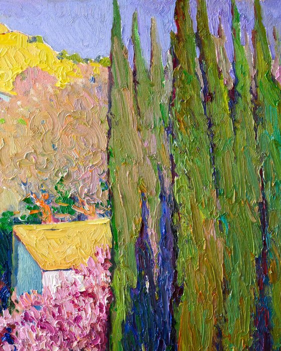 Cypress Trees, Landscape