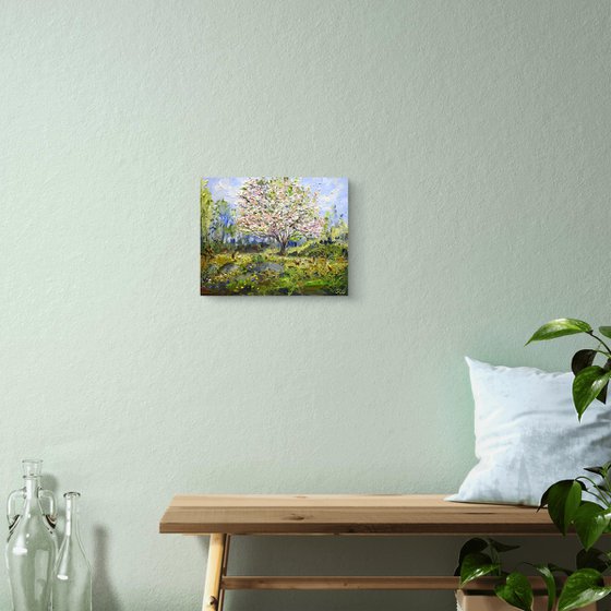 Spring dream