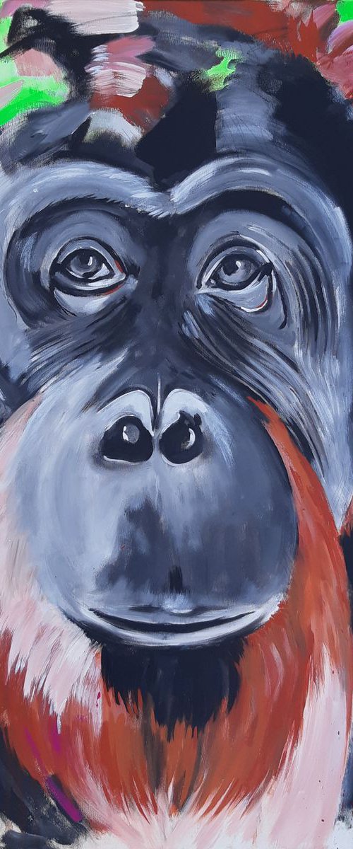 ORANGUTAN - PALM by Stefanie Rogge