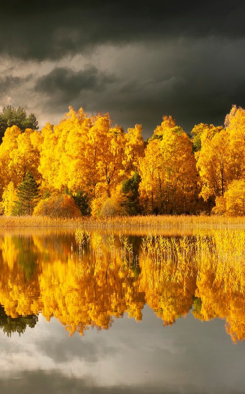 Autumn Trees - Loch Vaa Scotland by Stephen Hodgetts Photography