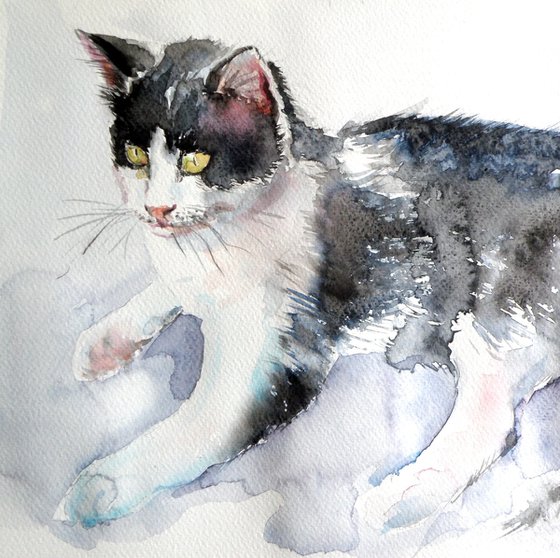 Cat II