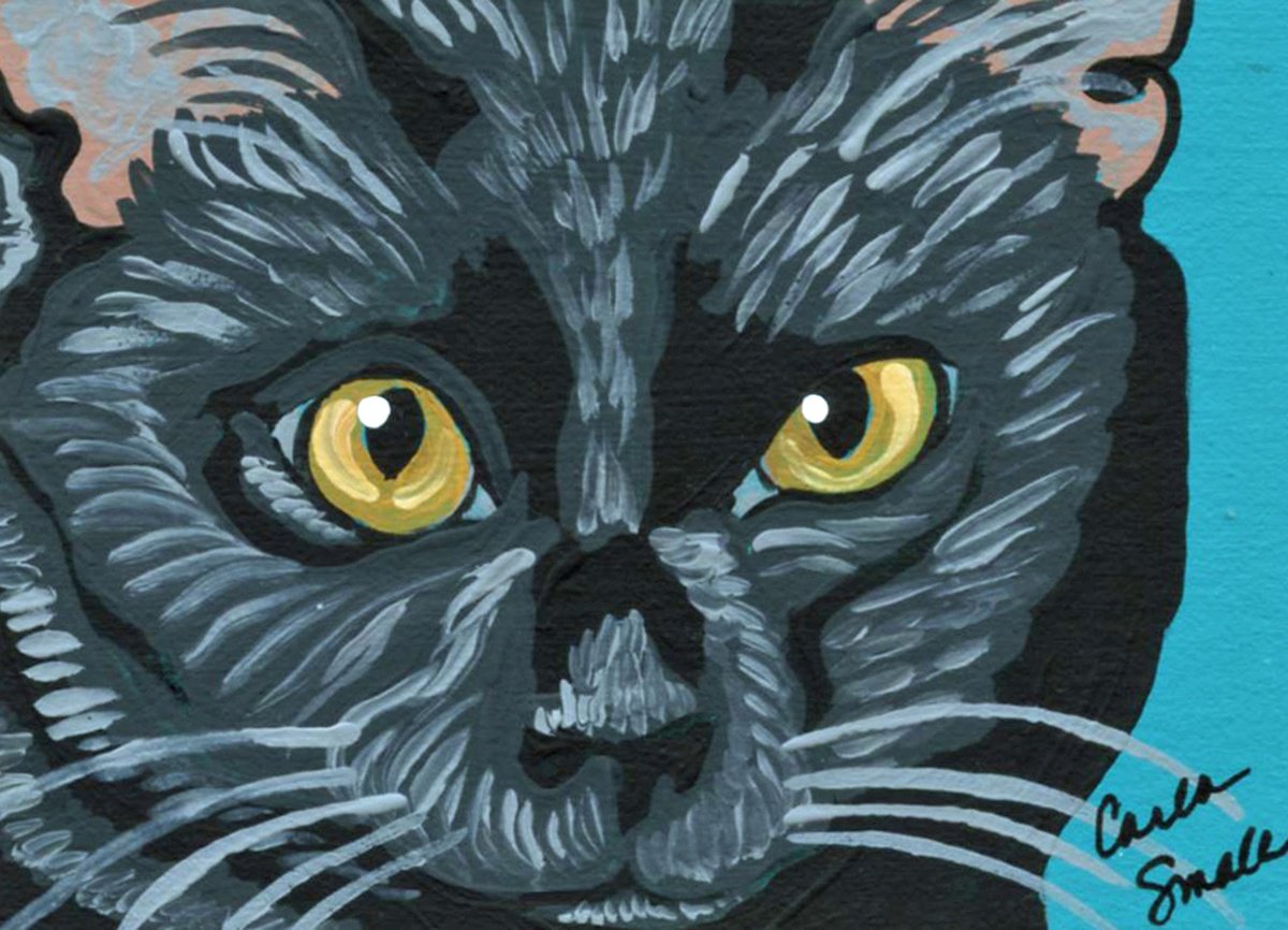 Bombay Black Cat by Carla Smale