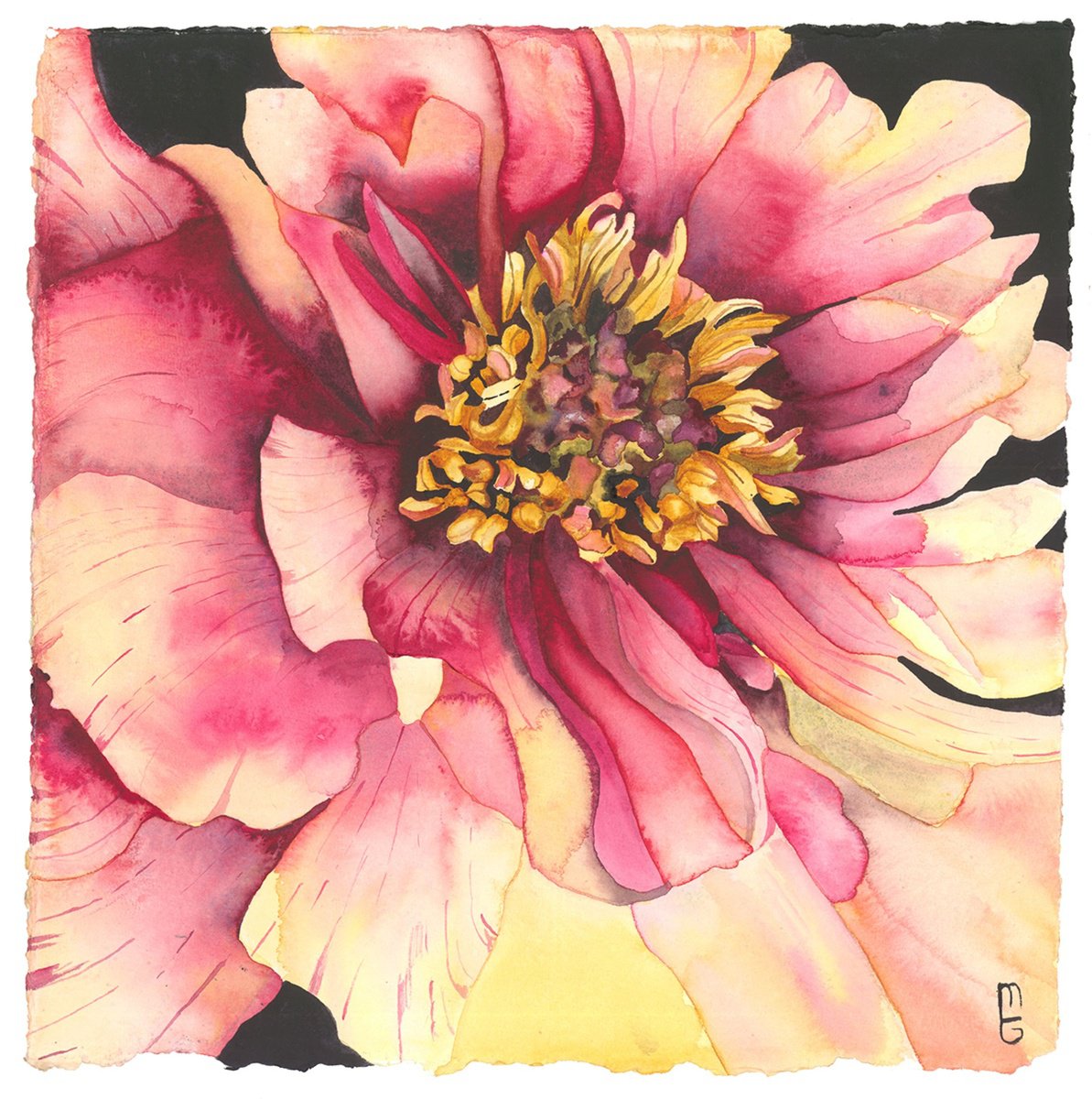 Surrealistic Botanical Watercolour By Mary Lyn Gough, 15 X 15", Enchanted, Original Artwork
