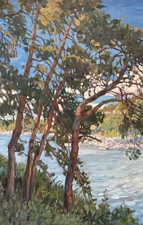 Pines on the island by Nadezda Stupina