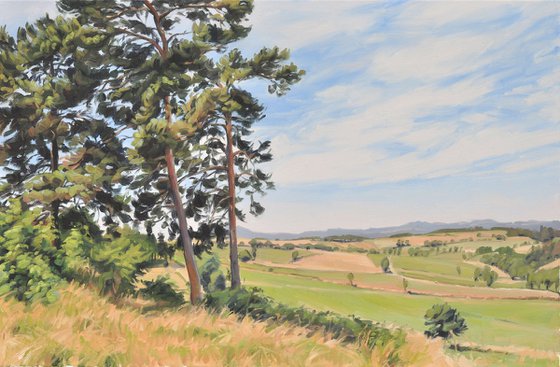 Summer light, Velay Mountains