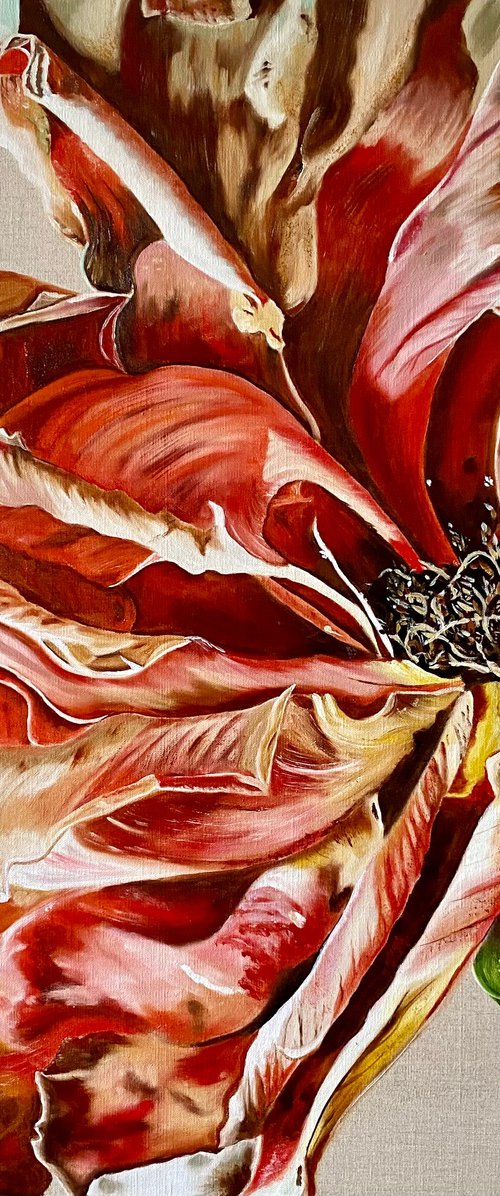 Rose Allure by Wendy Peters