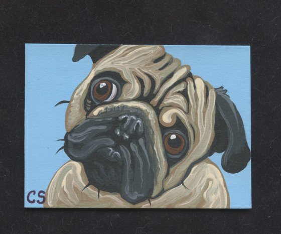 ACEO ATC Original Miniature Painting Fawn Pug Pet Dog Art-Carla Smale