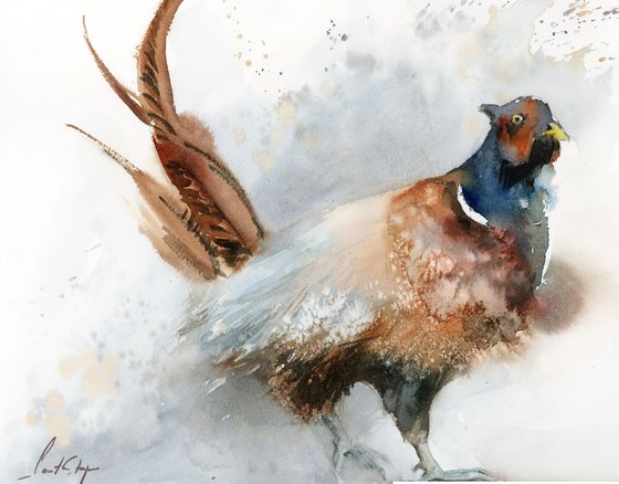 The Pheasant watercolor painting