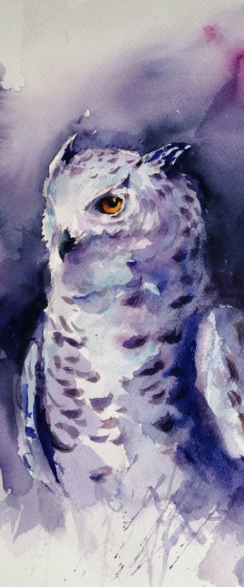 snowy owl by Giorgio Gosti