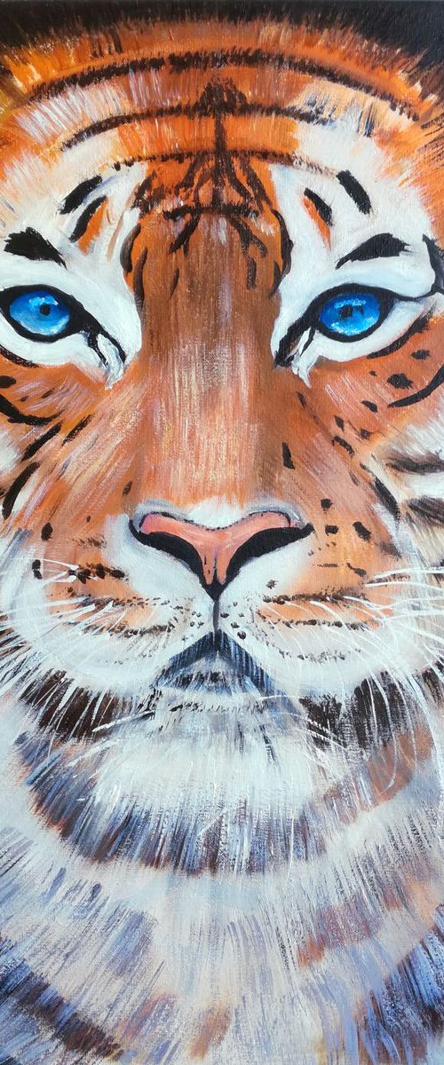 Tiger's sight by Nataliia Plakhotnyk