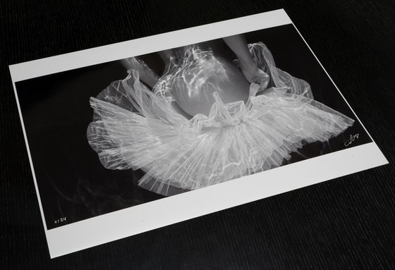 Tutu Skirt - underwater photograph - print on paper 22" x 36"