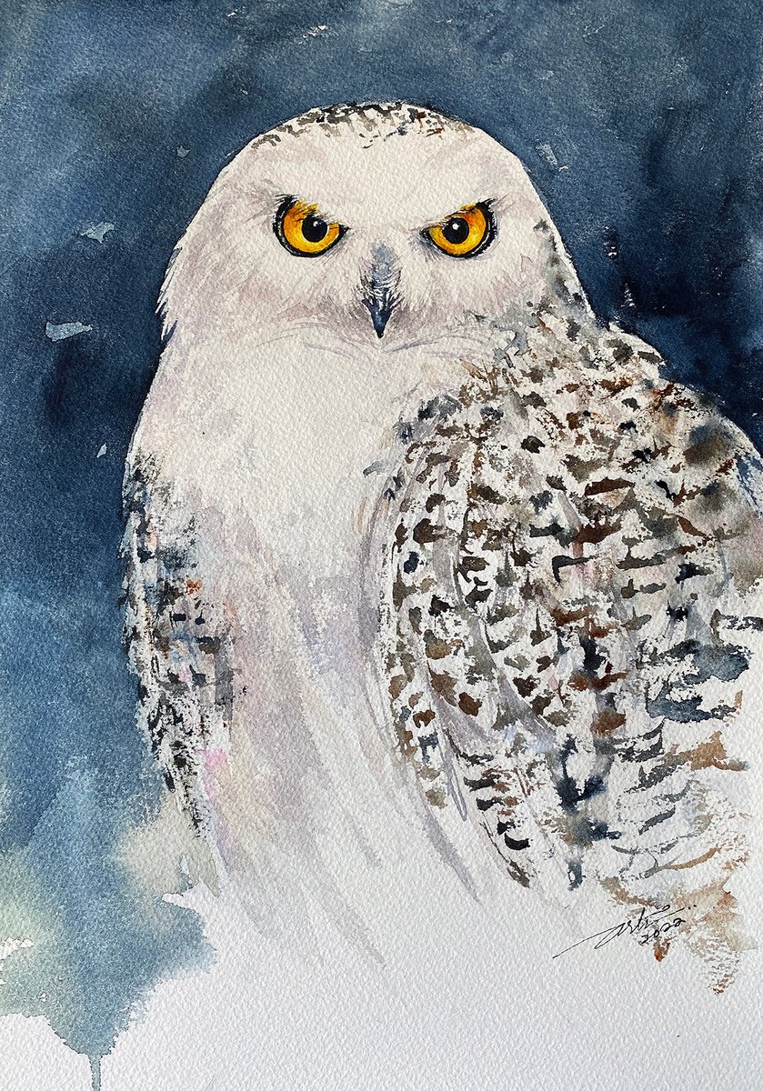 Photorealistic Animal Watercolour By Arti Chauhan, 13 X 17, Snow Owl Saul, Original Artwork