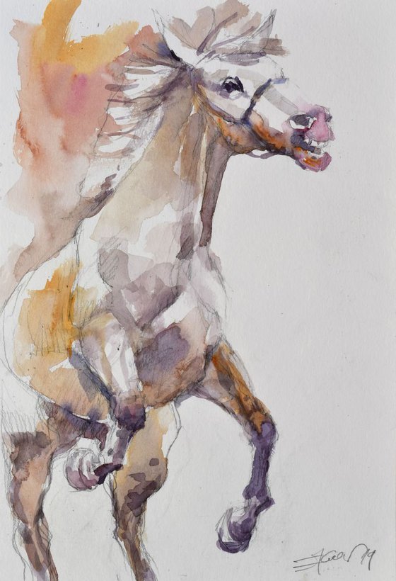 Prancing horse study 4