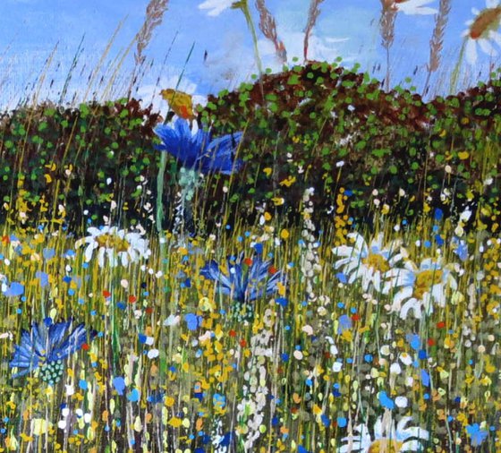 Wildflower Meadow 30